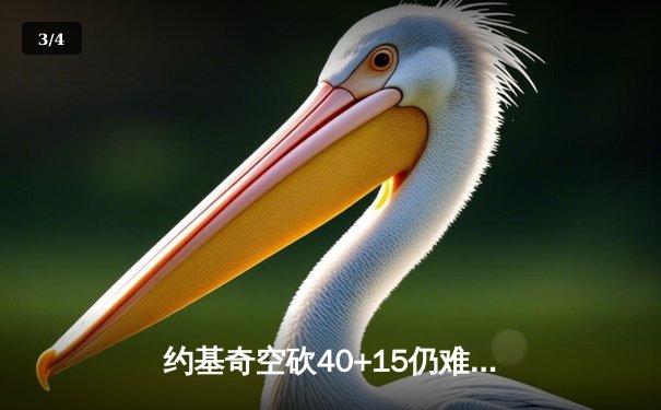 约基奇空砍40+15仍难救主，掘金加时惜败森林狼总比分2-3落后 - 3