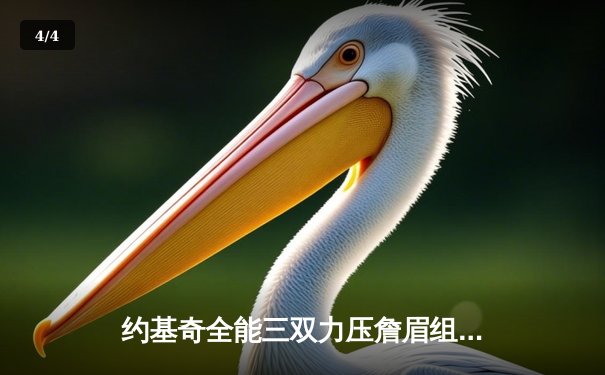 约基奇全能三双力压詹眉组合 掘金加时险胜湖人夺赛点 - 4