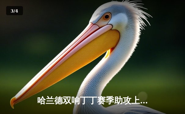 哈兰德双响丁丁赛季助攻上双，曼城3-1客胜曼联巩固榜首 - 3